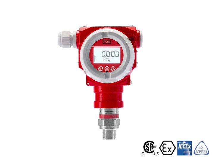 DMP305X-TST-S Gauge Pressure Transmitter